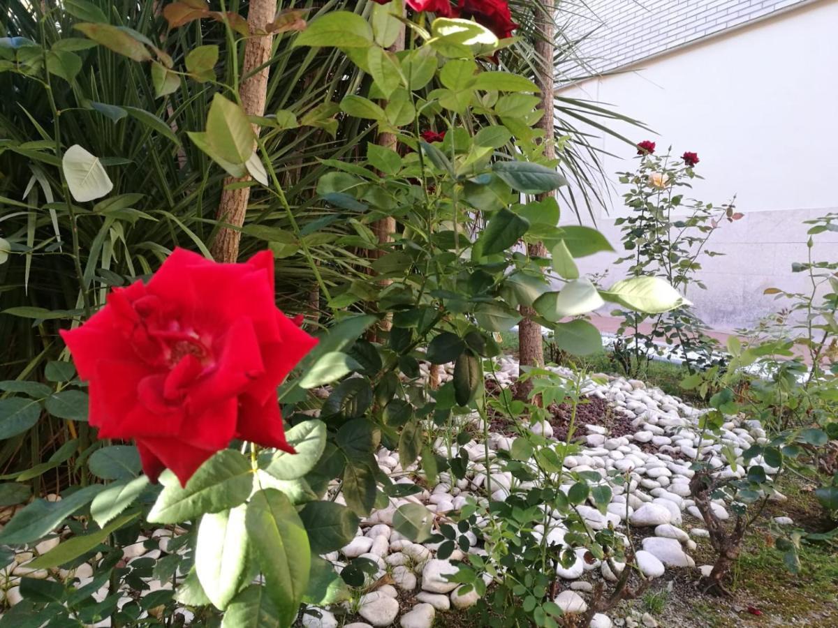 לה פינדה Mediterranea מראה חיצוני תמונה